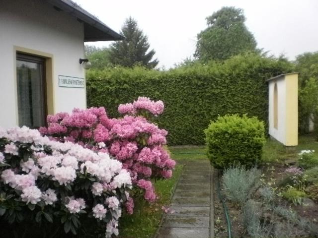 Privat Buk 100 Apartment Jindřichŭv Hradec Exterior foto
